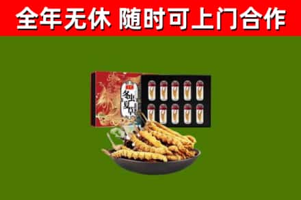 柳城县回收冬虫夏草价格